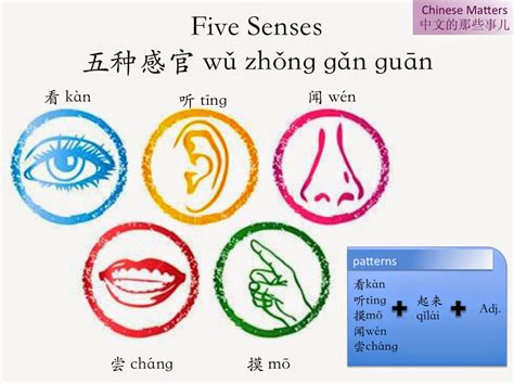 5 senses in chinese 打井原理